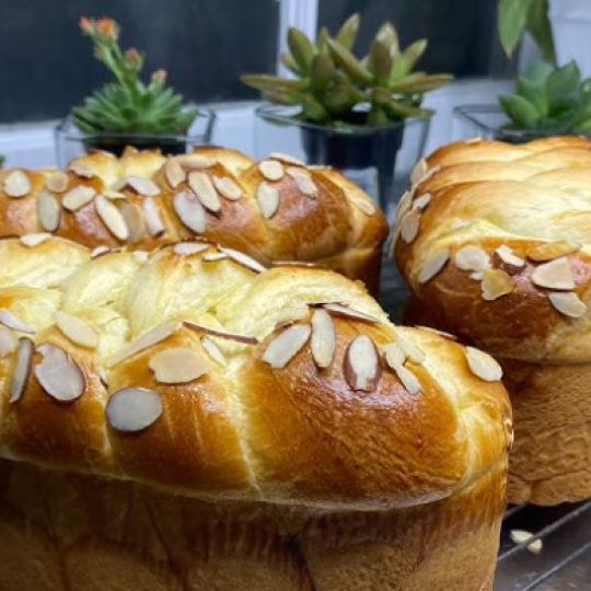 Hoa cúc hoa dừa lớn